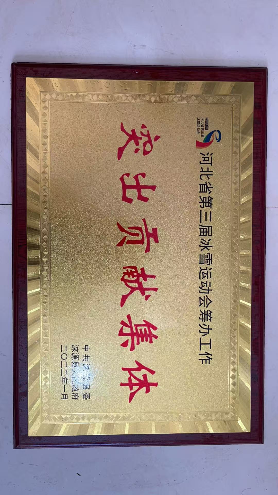 三冰會突出貢獻集體.jpg
